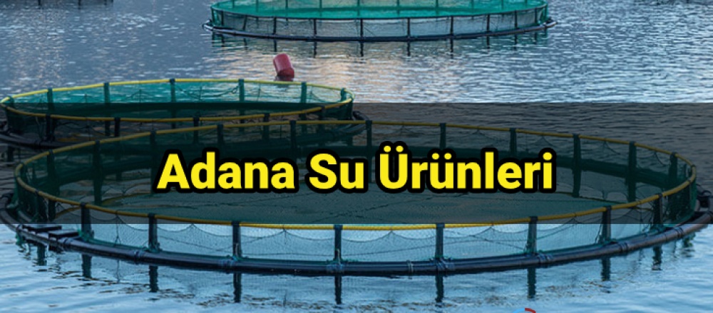 Adana Su Ürünleri