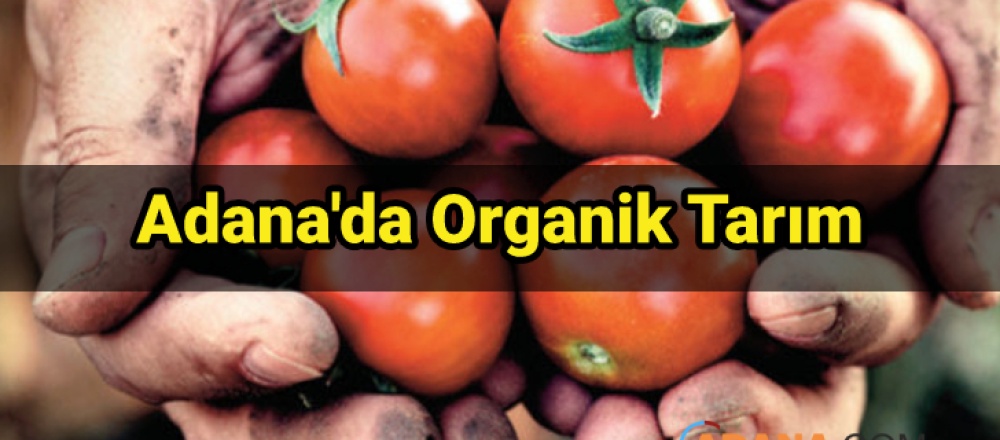 Adana'da Organik Tarım