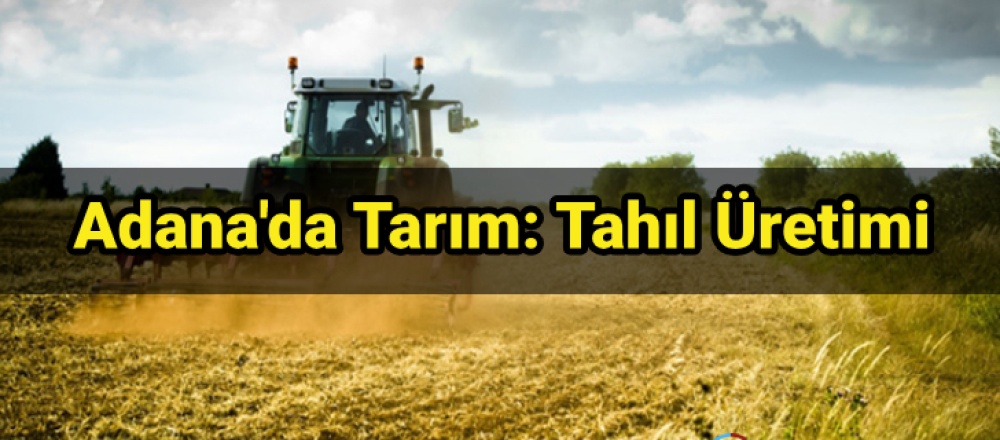 Adana'da Tarım: Tahıl Üretimi