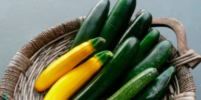 Kabak Detoksu ile Hızlı Zayıflama