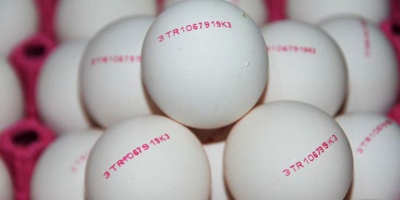 Yumurtaların Üzerinde Yazan Sayılara Dikkat!