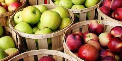 Elmanın Cilde Mucizevi Faydaları