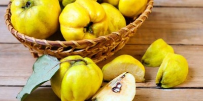 AYVA ÇEKİRDEĞİNİN MUCİZE FAYDALARI