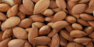 Sürekli Almanız Gereken Besinler