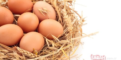 Bu Bilgiler Şaşırtıyor