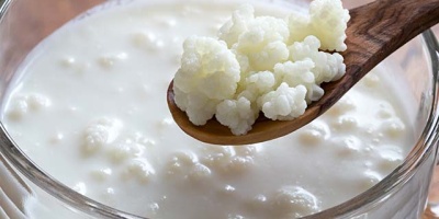 DNA hasarına karşı kefir için