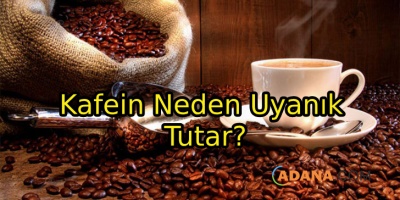 Kafein Neden Uyanık Tutar?
