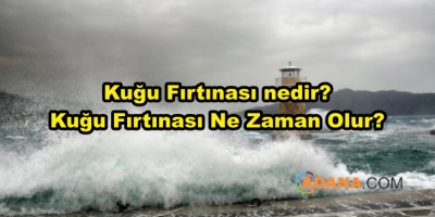 Kuğu Fırtınası nedir? Kuğu Fırtınası Ne Zaman Olur?