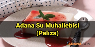 Adana Su Muhallebisi (Palıza)
