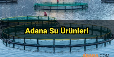 Adana Su Ürünleri
