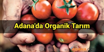 Adana'da Organik Tarım