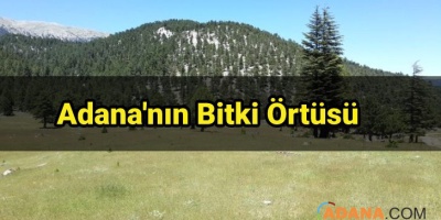 Adana'nın Bitki Örtüsü