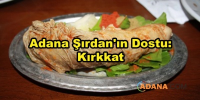 Adana Şırdan'ın Dostu: Kırkkat