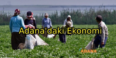 Adana'daki Ekonomi