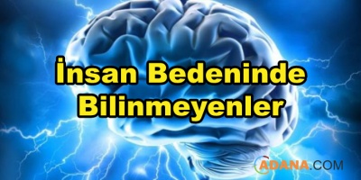 İnsan Bedeninde Bilinmeyenler