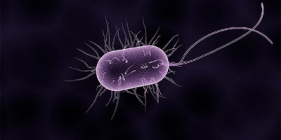 Mikropları Yok Ediyor