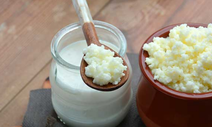 Kefir nedir? Kefirin sağlığa faydaları neler?