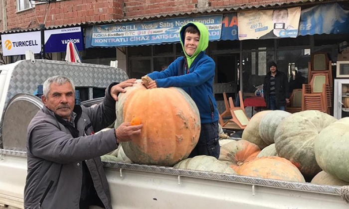 75 Kiloluk Kabak Görenleri Şaşırttı