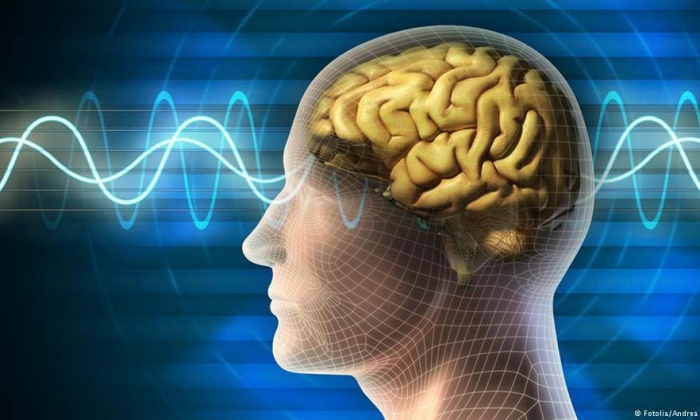 Alzheimer'a kan tahliliyle erken teşhis