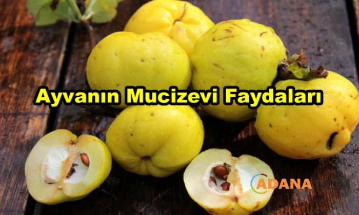 Ayvanın Mucizevi Faydaları