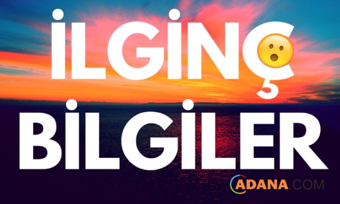 Bilmeniz Gereken Tuhaf Bilgiler