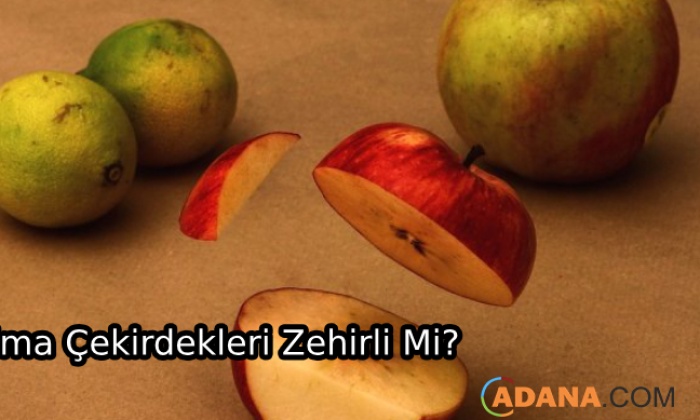 Elma Çekirdekleri Zehirli mi?