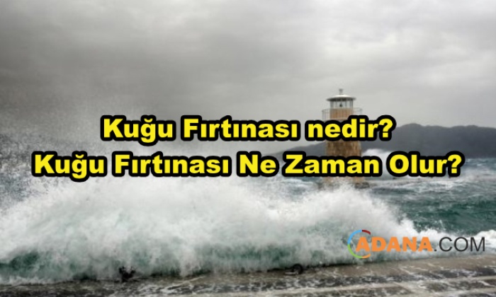 Kuğu Fırtınası nedir? Kuğu Fırtınası Ne Zaman Olur?