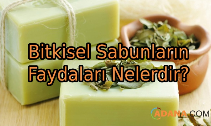Bitkisel Sabunların Faydaları Nelerdir?