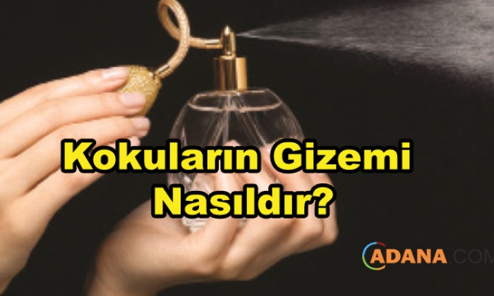 Kokuların Gizemi Nasıldır?
