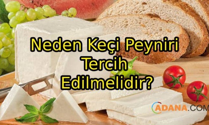 Neden Keçi Peyniri Tercih Edilmelidir?