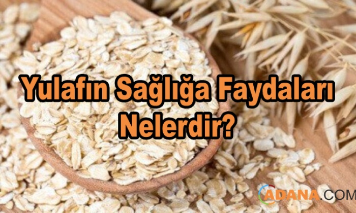 Yulaf Tüketmenin Sağlığa Etki Ve Faydaları