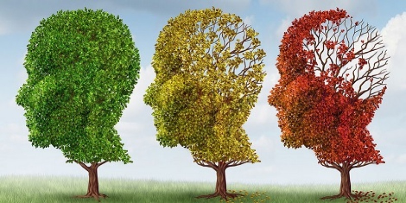 Kafaya alınan darbe intihara eğilimi artırıyor.