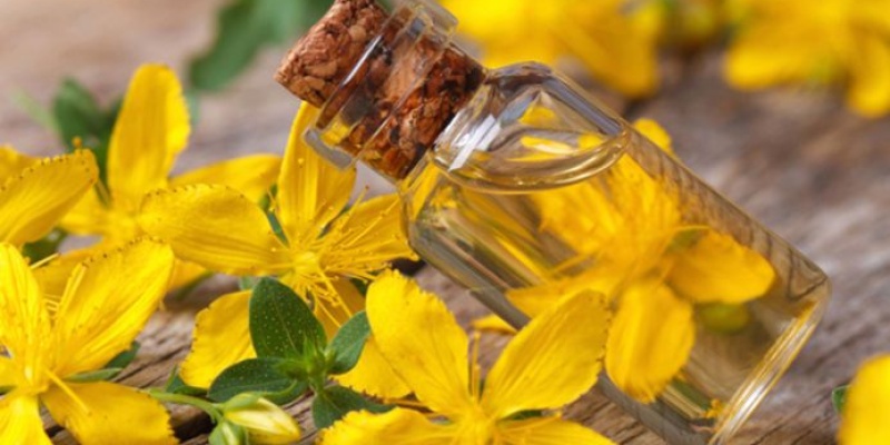 Vücuttaki İltihabı Kurutan Bitkiler