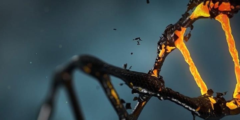 Kanser hücrelerinin DNA'ları 