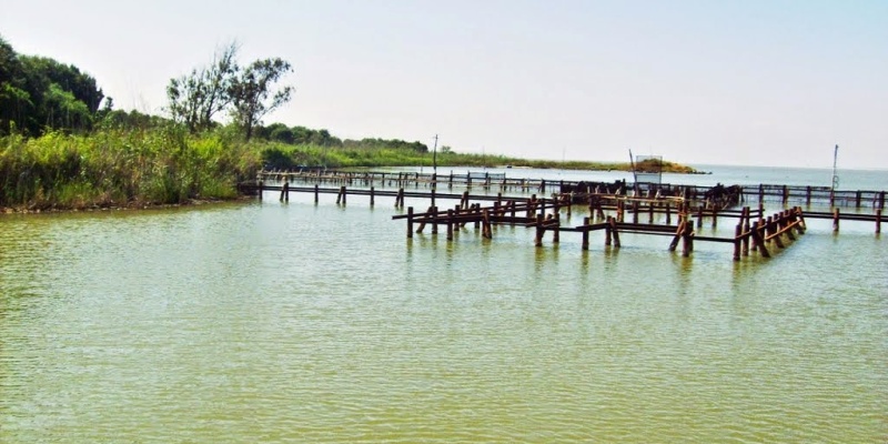 Adana 'Akyatan' Gölündeki Aktiviteler