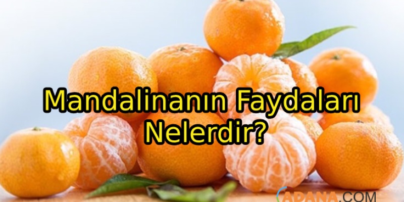 Mandalinanın Faydaları Nelerdir?