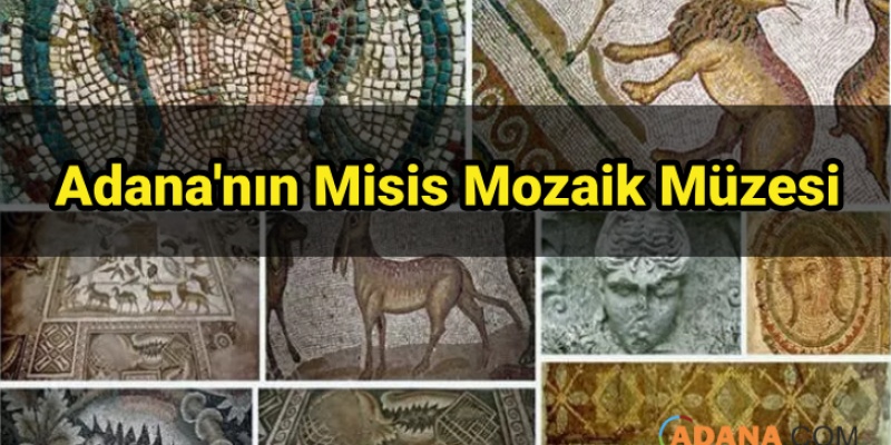 Adana'nın Misis Mozaik Müzesi