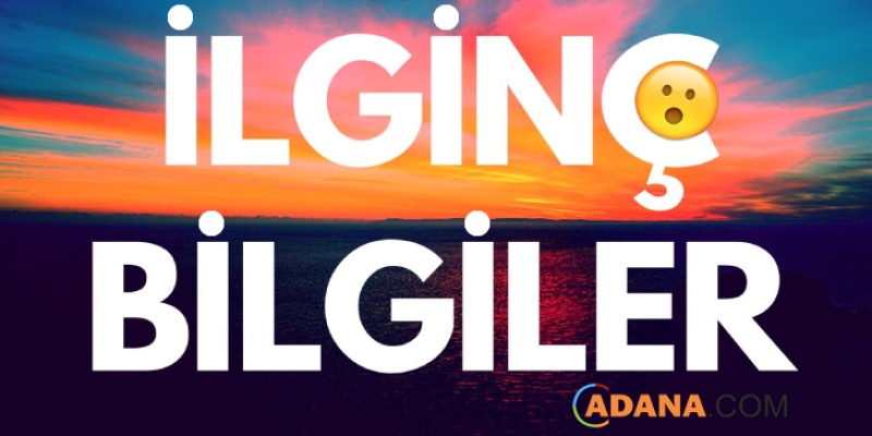 Bilmeniz Gereken Tuhaf Bilgiler