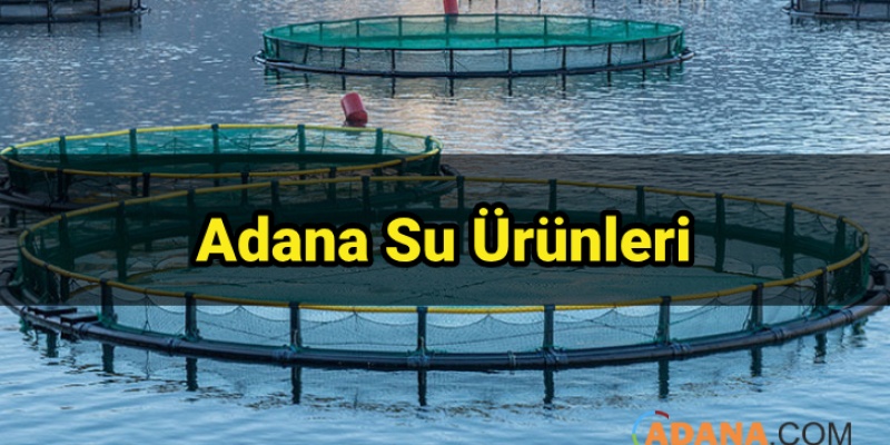Adana Su Ürünleri