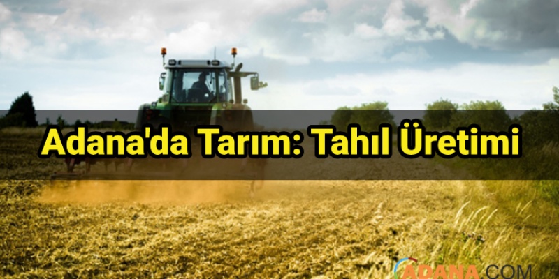 Adana'da Tarım: Tahıl Üretimi