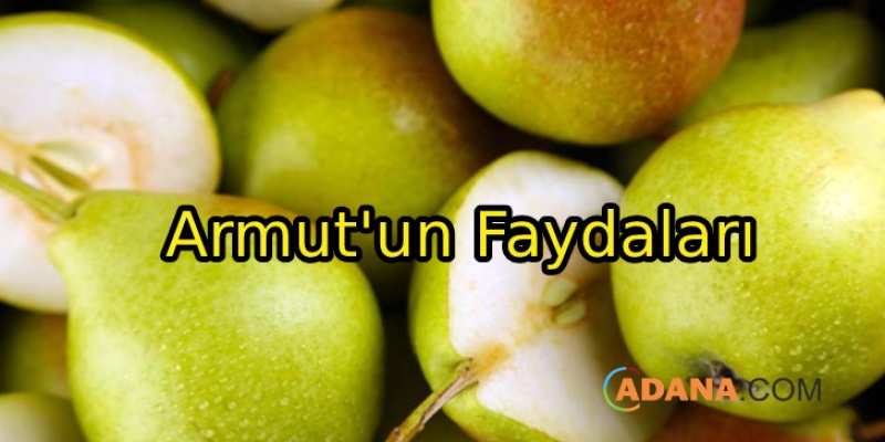 Armut'un Faydaları
