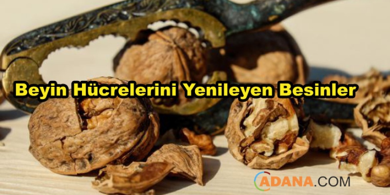 Beyin Hücrelerini Yenilemek İçin Tüketmeniz Gereken Gıdalar