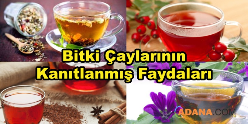 Bitki Çaylarının Kanıtlanmış Faydaları