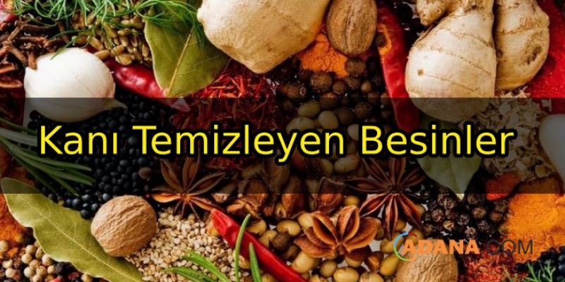 Kanı Temizleyen Besinler