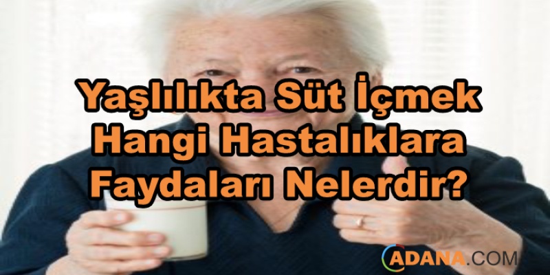 Yaşlılıkta Süt İçmek Hangi Hastalıklara Faydaları Nelerdir?