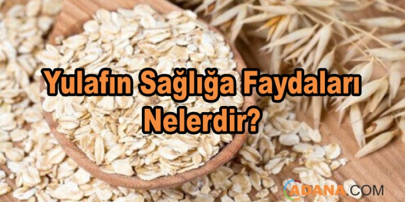 Yulafın Sağlığa Faydaları Nelerdir?